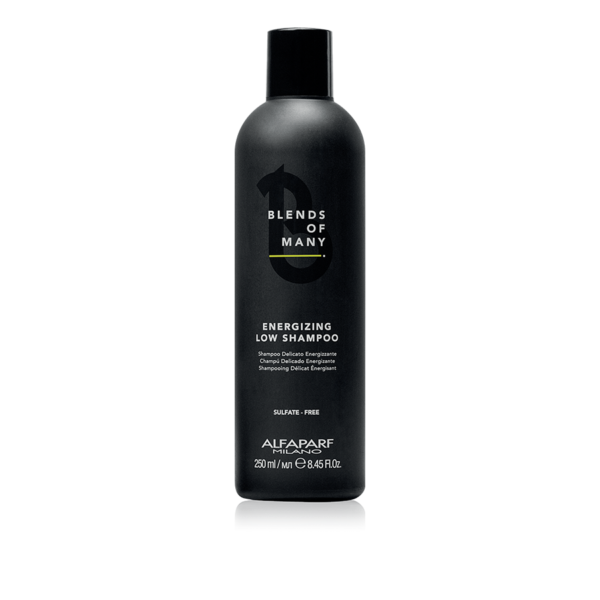 ENERGIZING LOW SHAMPOO FOR MAN di ALFAPARF vendita online prodotti per parrucchieri